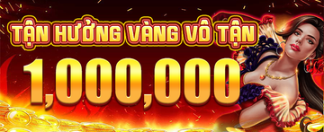 VN4 Banner